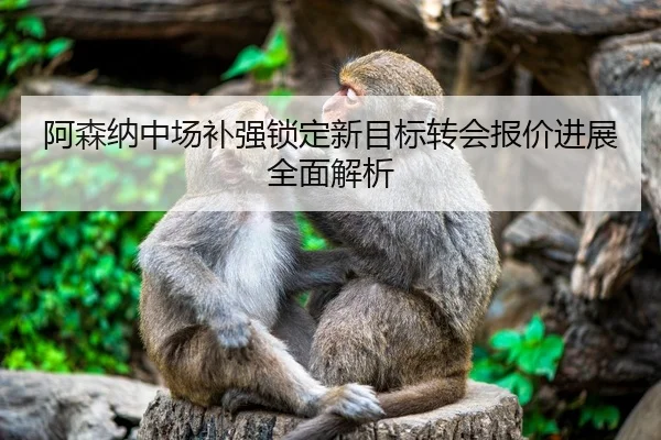 阿森纳中场补强锁定新目标转会报价进展全面解析