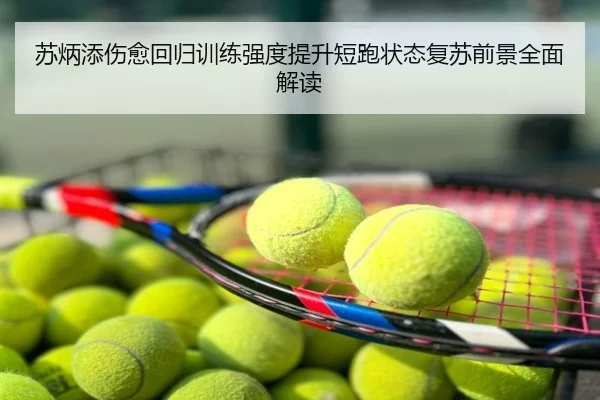苏炳添伤愈回归训练强度提升短跑状态复苏前景全面解读