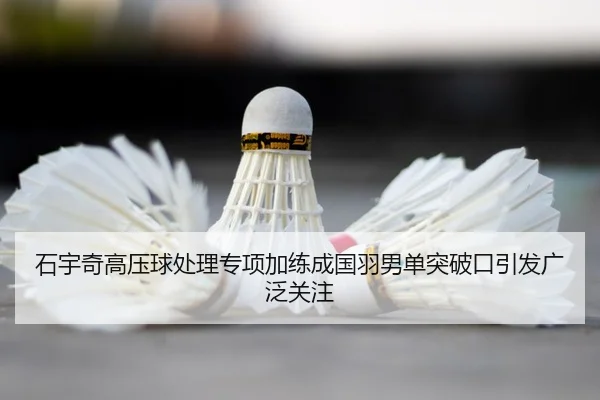 石宇奇高压球处理专项加练成国羽男单突破口引发广泛关注